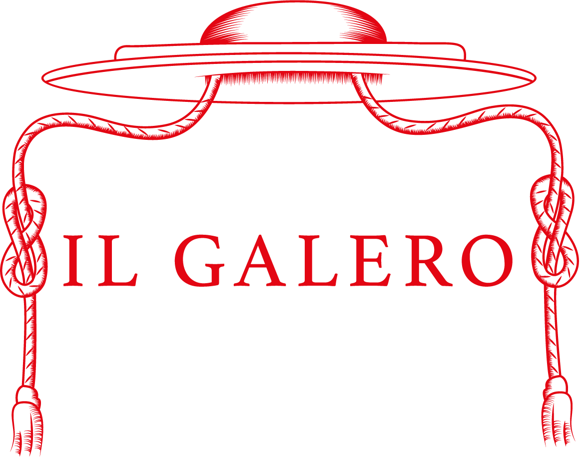 Villa Il Galero - Treviso